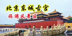 奸奸,干干,操操,操小b视频免费观看中国北京-东城古宫旅游风景区